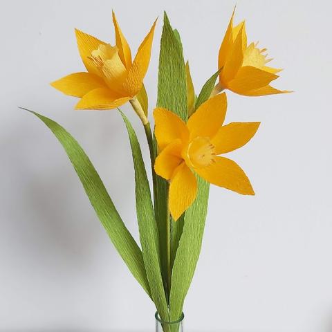 Workshop papieren bloemen BASIS