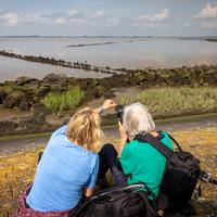 Fotoworkshop Groninger wad en landschap