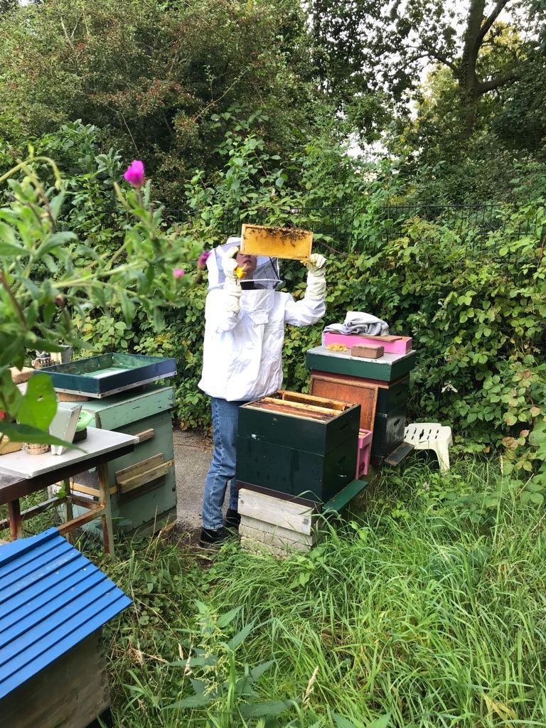 Basiscursus Natuurlijk Imkeren — foto 3