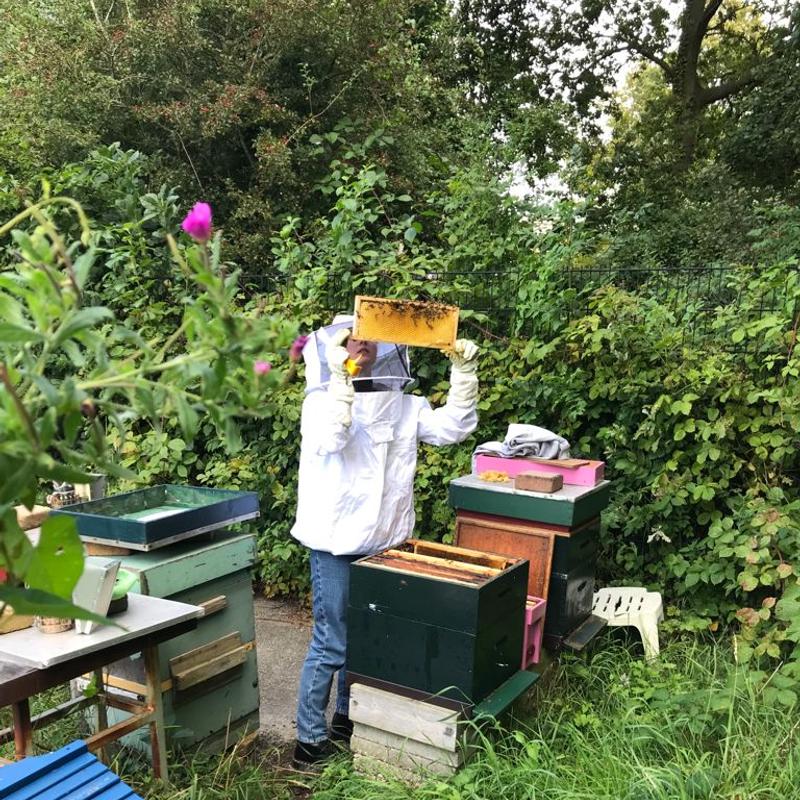 Basiscursus Natuurlijk Imkeren — foto 3