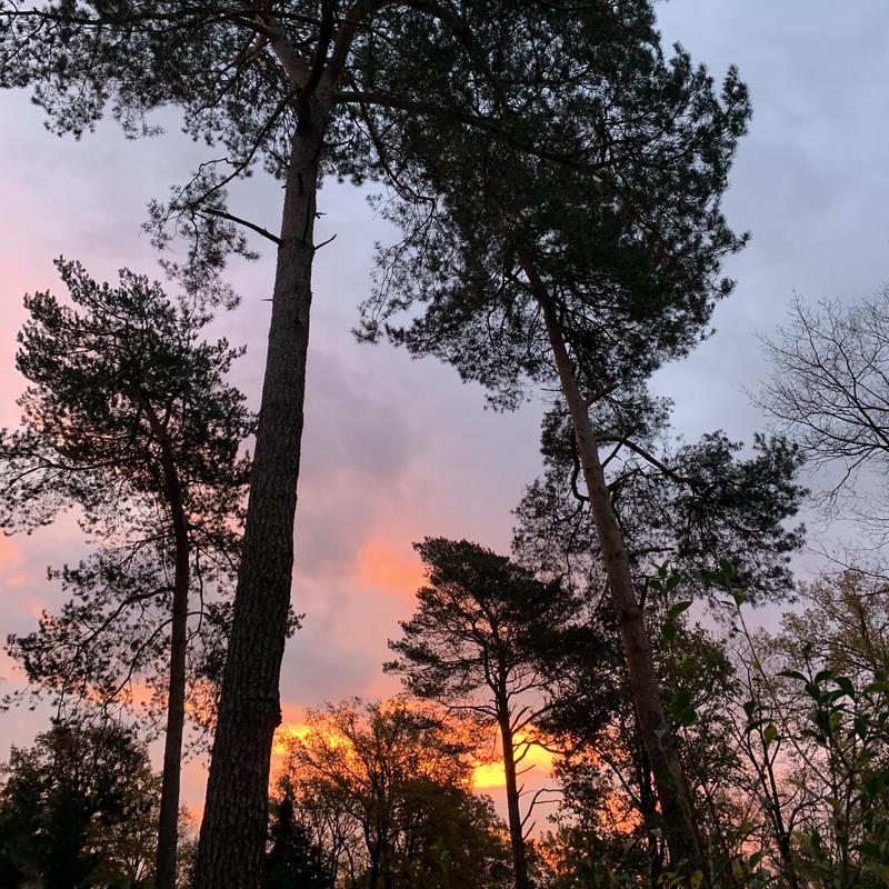 Sjamanistische Quest Wandeling — foto 3