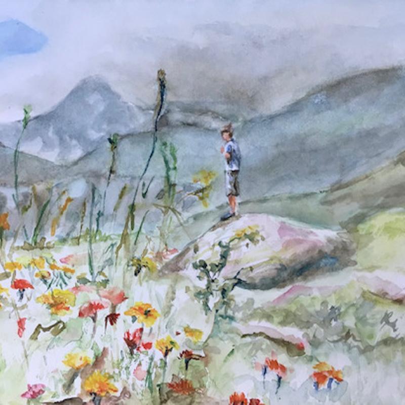online cursus aquarelleren 25 euro — foto 3