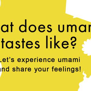 Umami tasting in Rotterdam