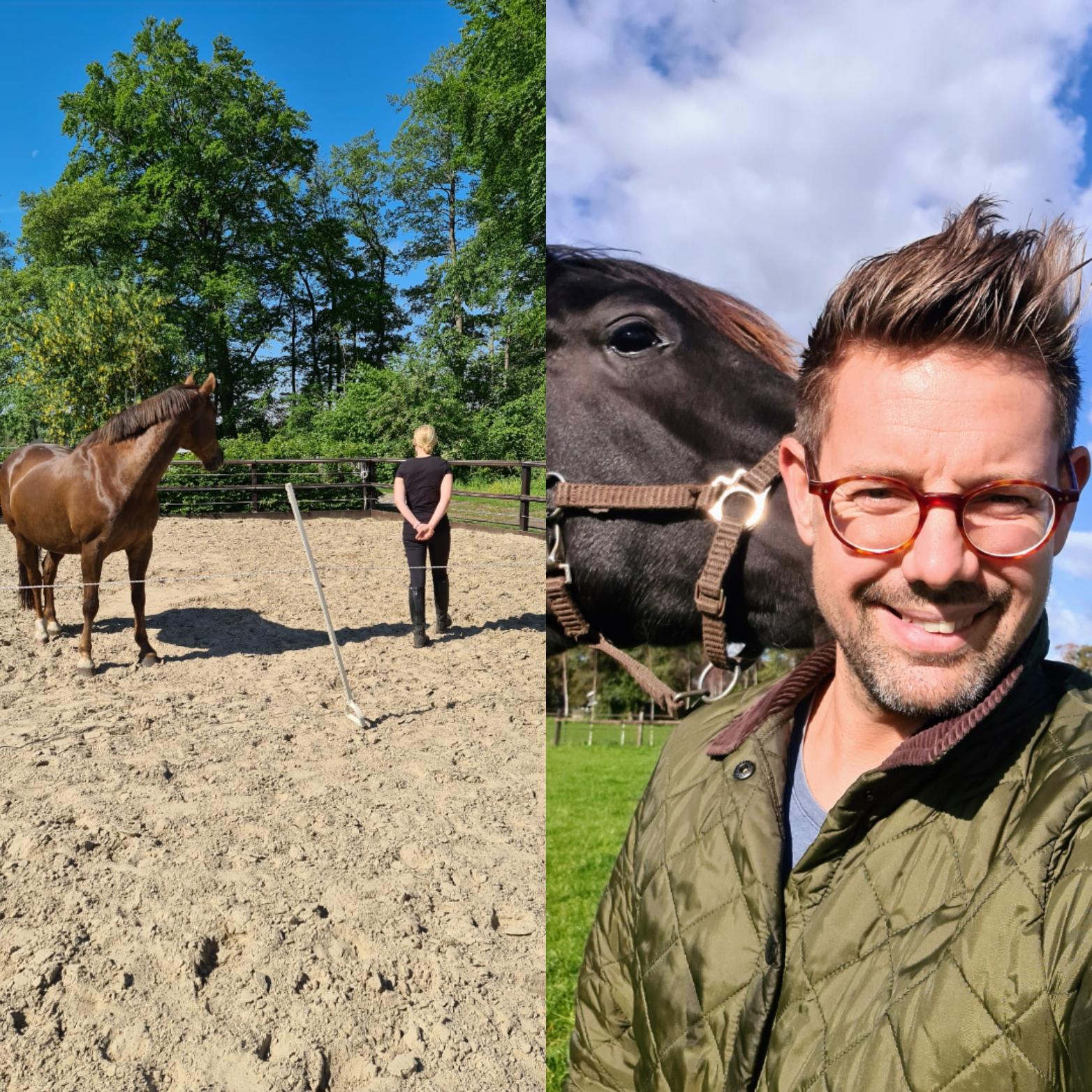 Workshop spiegelen met paarden Achterhoek 6 - 8 personen — foto 1
