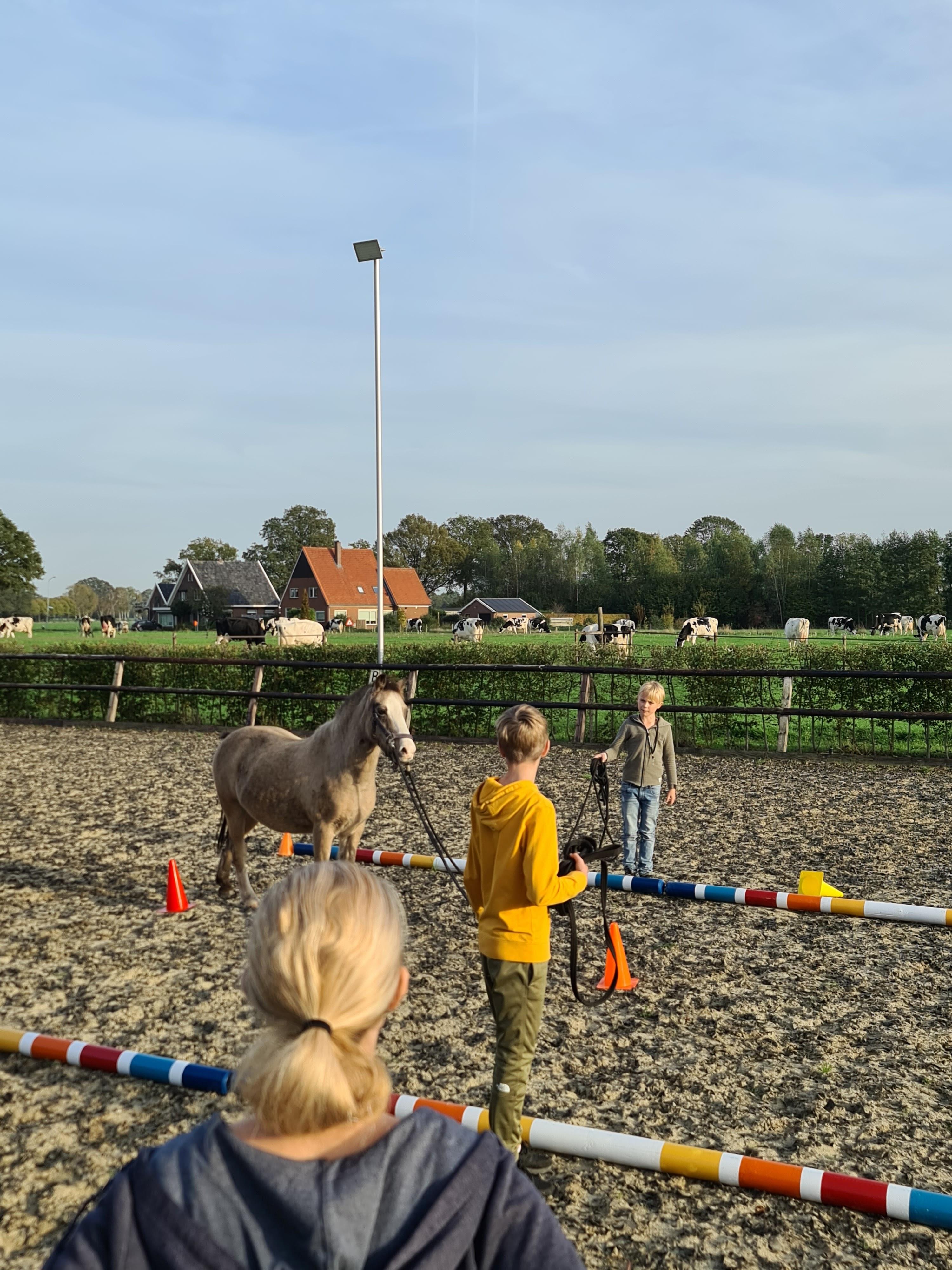 Kindercoaching met paarden I Kennismaking cursus 2 - 4 personen — foto 1