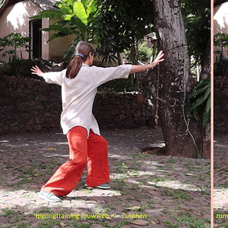 zomercursus Qi Gong