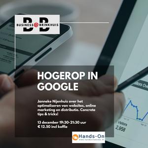 Business@Brinkhuis Hogerop in Google