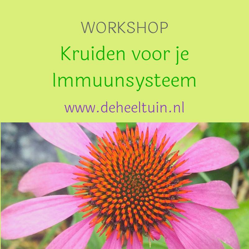 Kruiden voor je immuunsysteem — foto 1