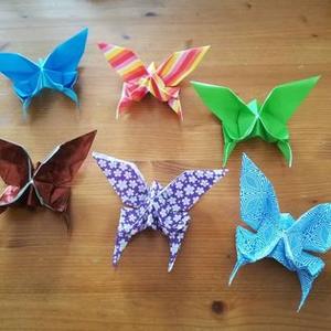 Vlinder of Kerstster vouwen - origami