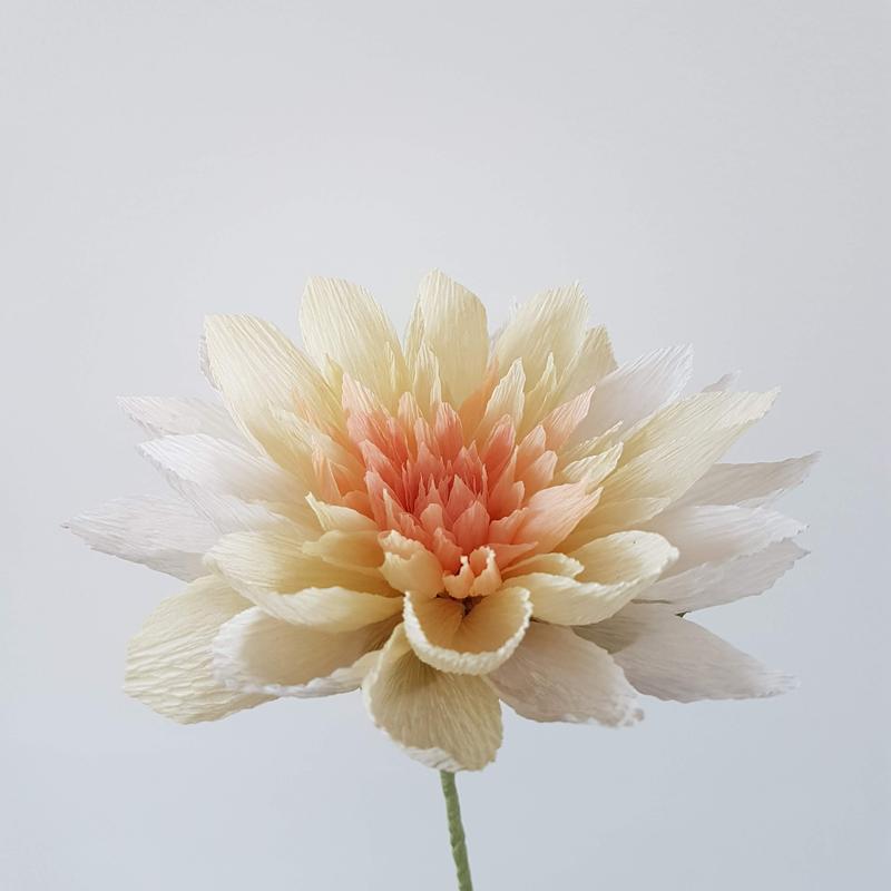 Papieren bloemen maken — foto 2