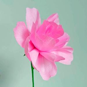 Papieren bloemen maken