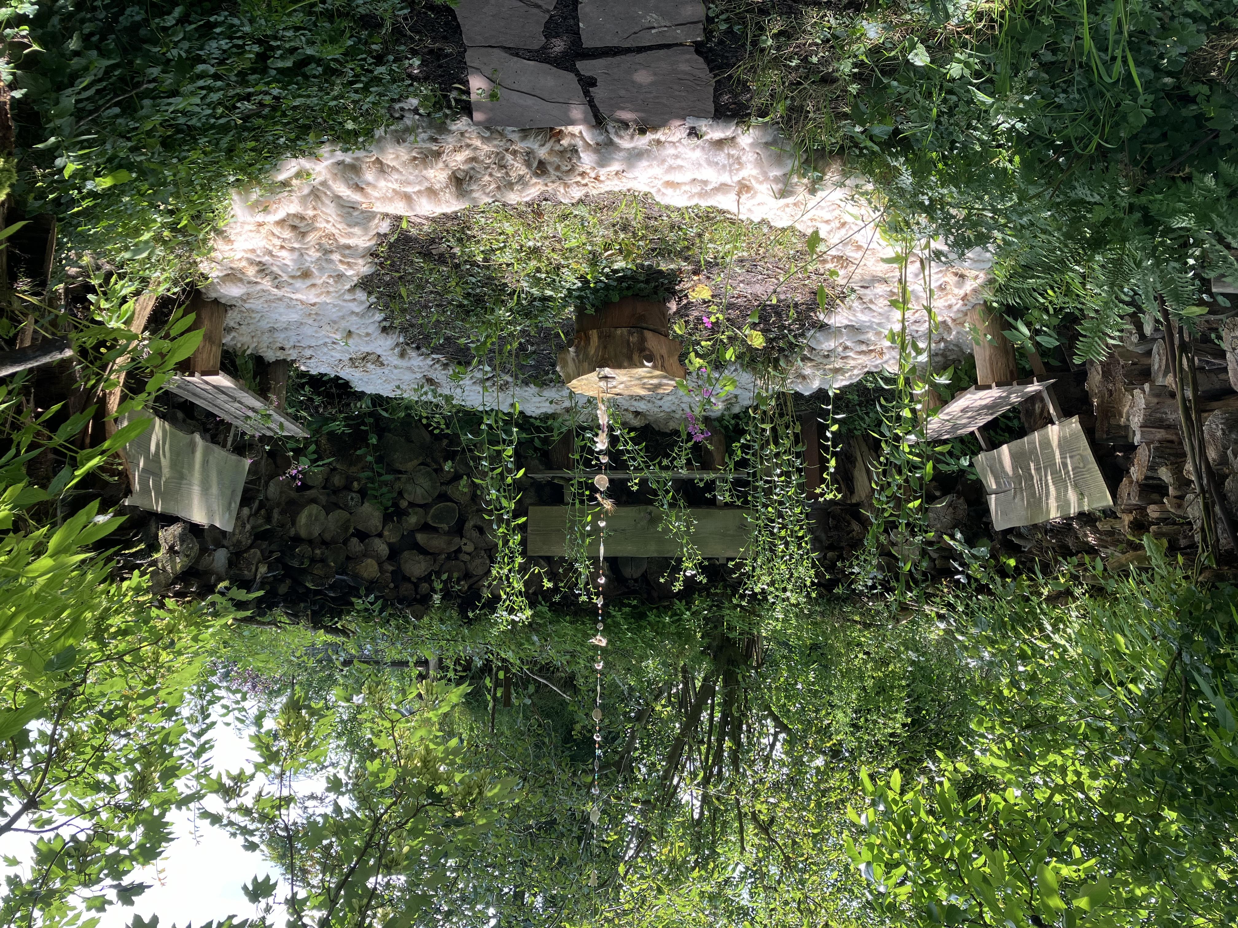 Stilteretraite Stilte in beeld — foto 2