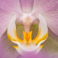 Fotoworkshop Macro en Beleef