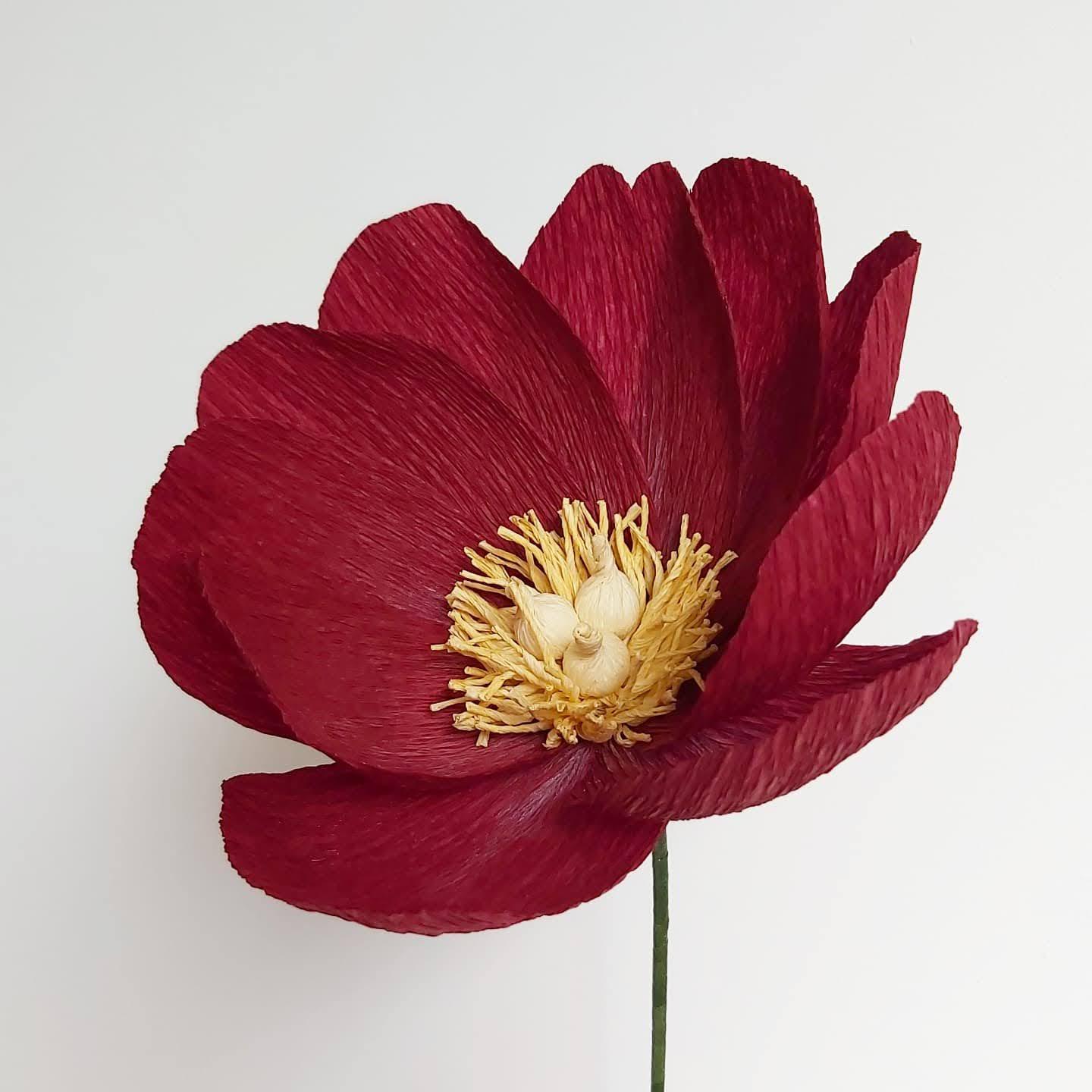 Workshop papieren bloemen BASIS — foto 4