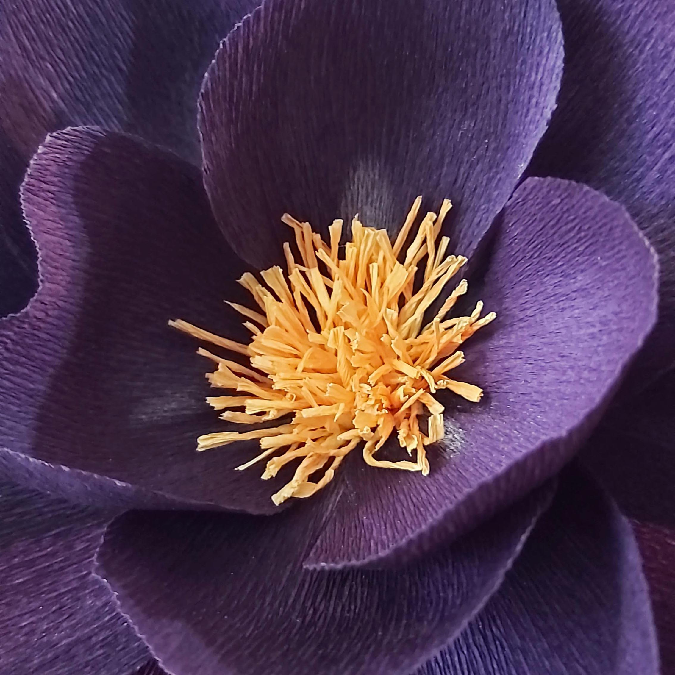 Workshop papieren bloemen GEVORDERDEN — foto 3