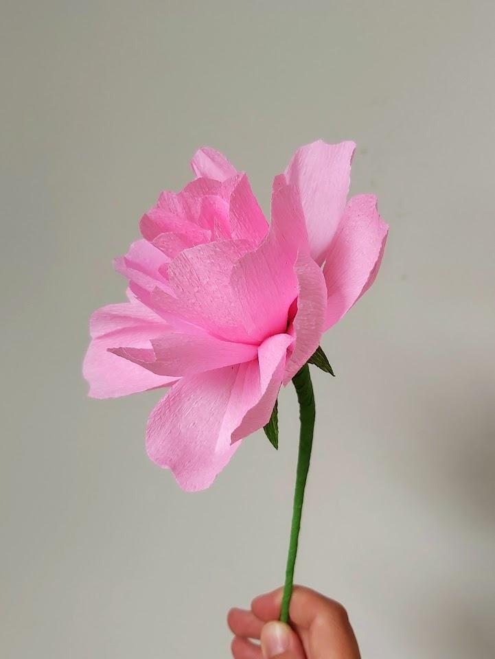 Workshop papieren bloemen BASIS — foto 1