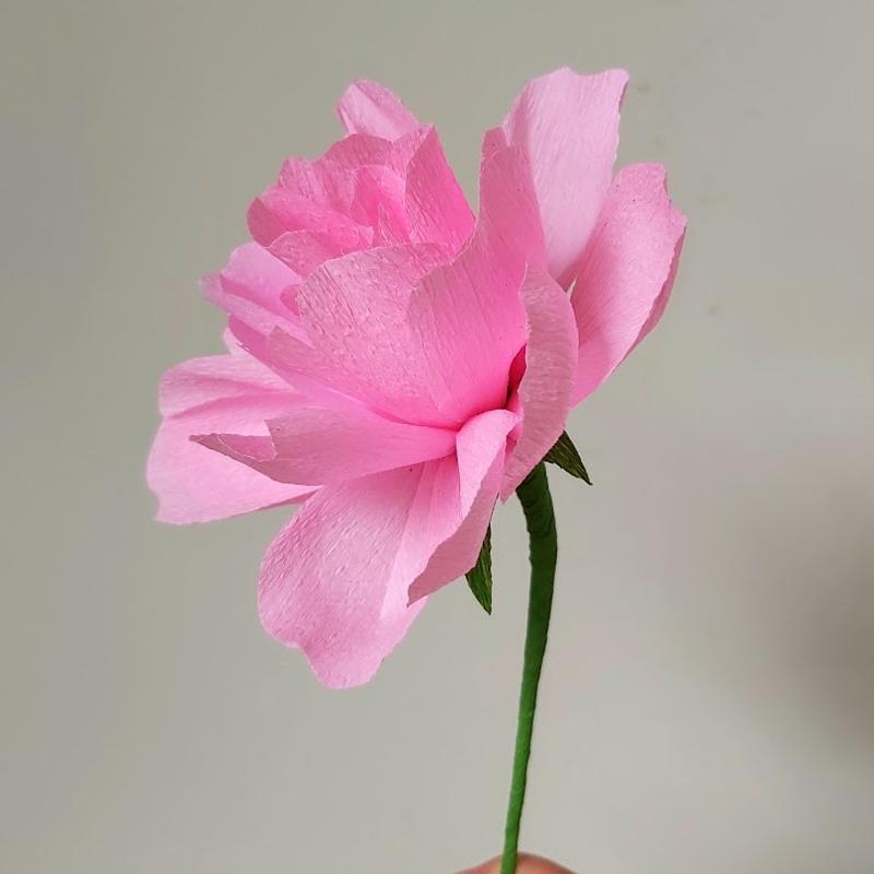 Workshop papieren bloemen BASIS