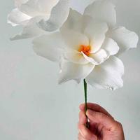 Workshop papieren bloemen BASIS