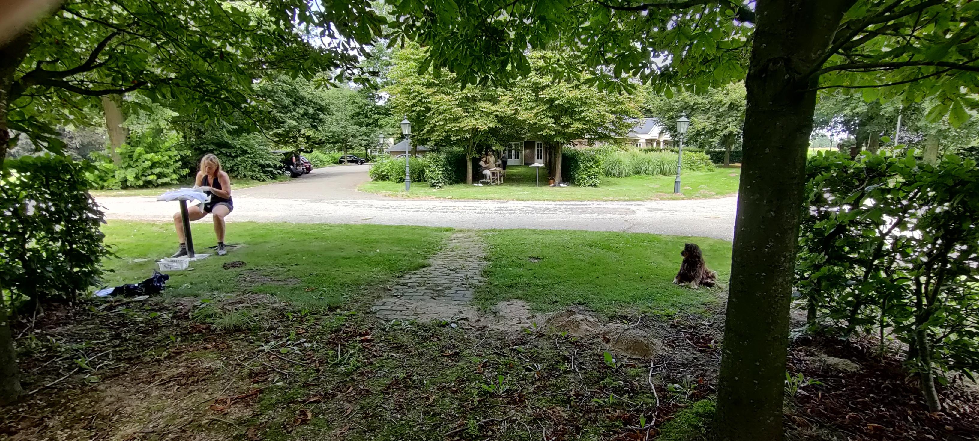 Beeldhouw 4-daagse — foto 4