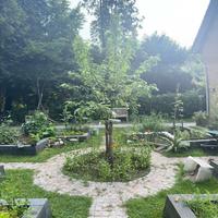 Kruiden oogsten, drogen en bewaren