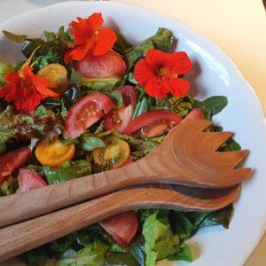 Cursus Ecologisch moestuinieren