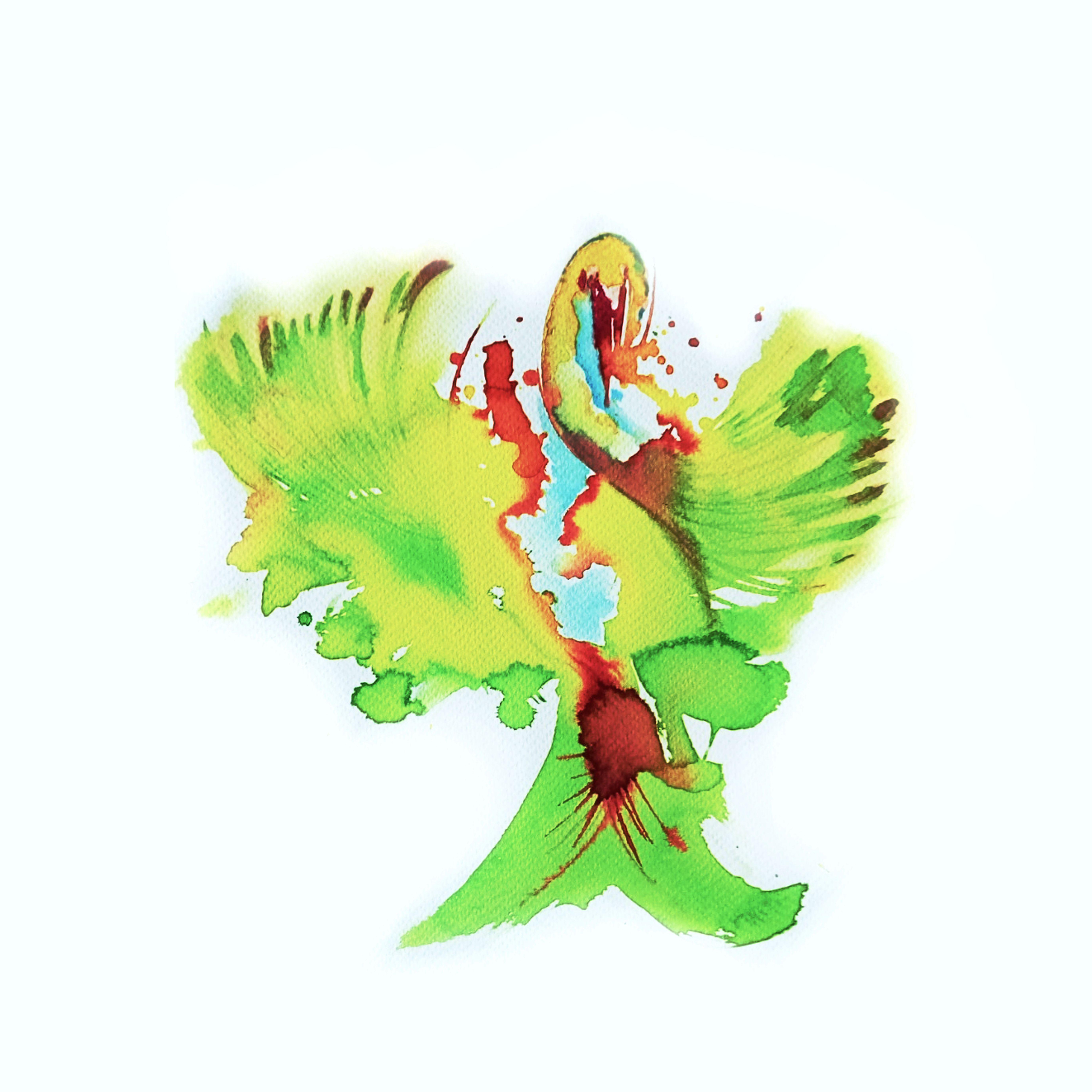 Aquarel(leren) Paradijsvogel — foto 1