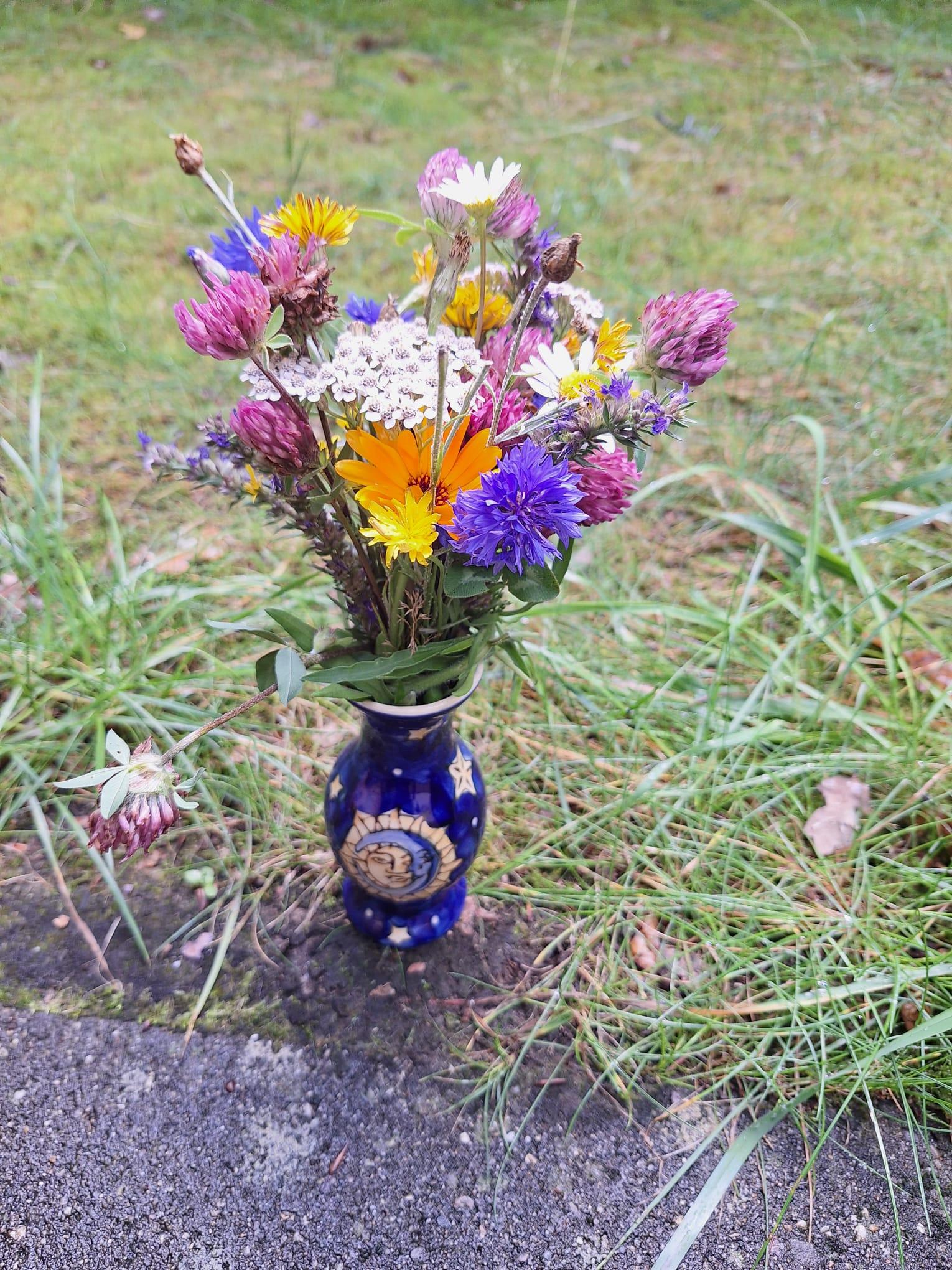 Kruidenworkshops: kruiden en magie — foto 1
