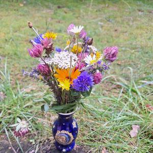 Kruidenworkshops: kruiden en magie