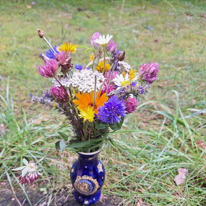Kruidenworkshops: kruiden en magie