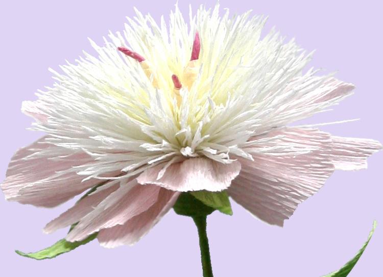 Een papieren bloem maken — foto 2