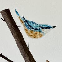 Vogeltjes van Glas 