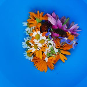 Kruidenworkshop: kruidenthee en wierook