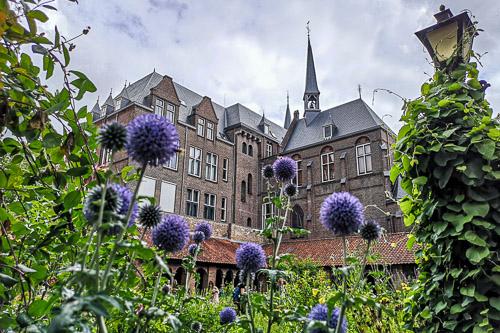 Smartphone fotografie cursus Utrecht — foto 1