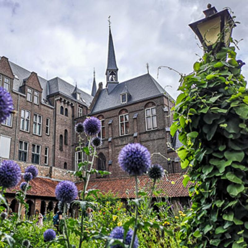Smartphone fotografie cursus Utrecht