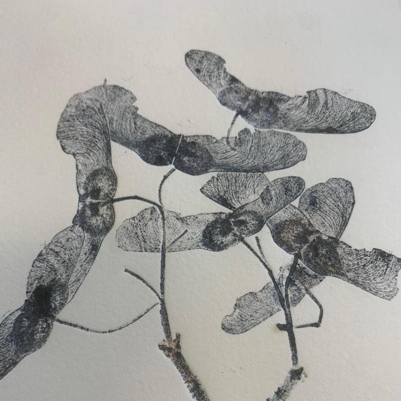 Botanisch Printen — foto 3