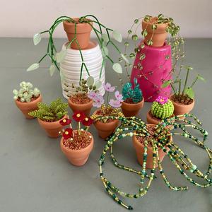 Prachtige Plantjes (kralenplantjes)