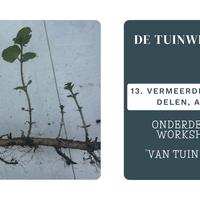 Tuinwerkplaats