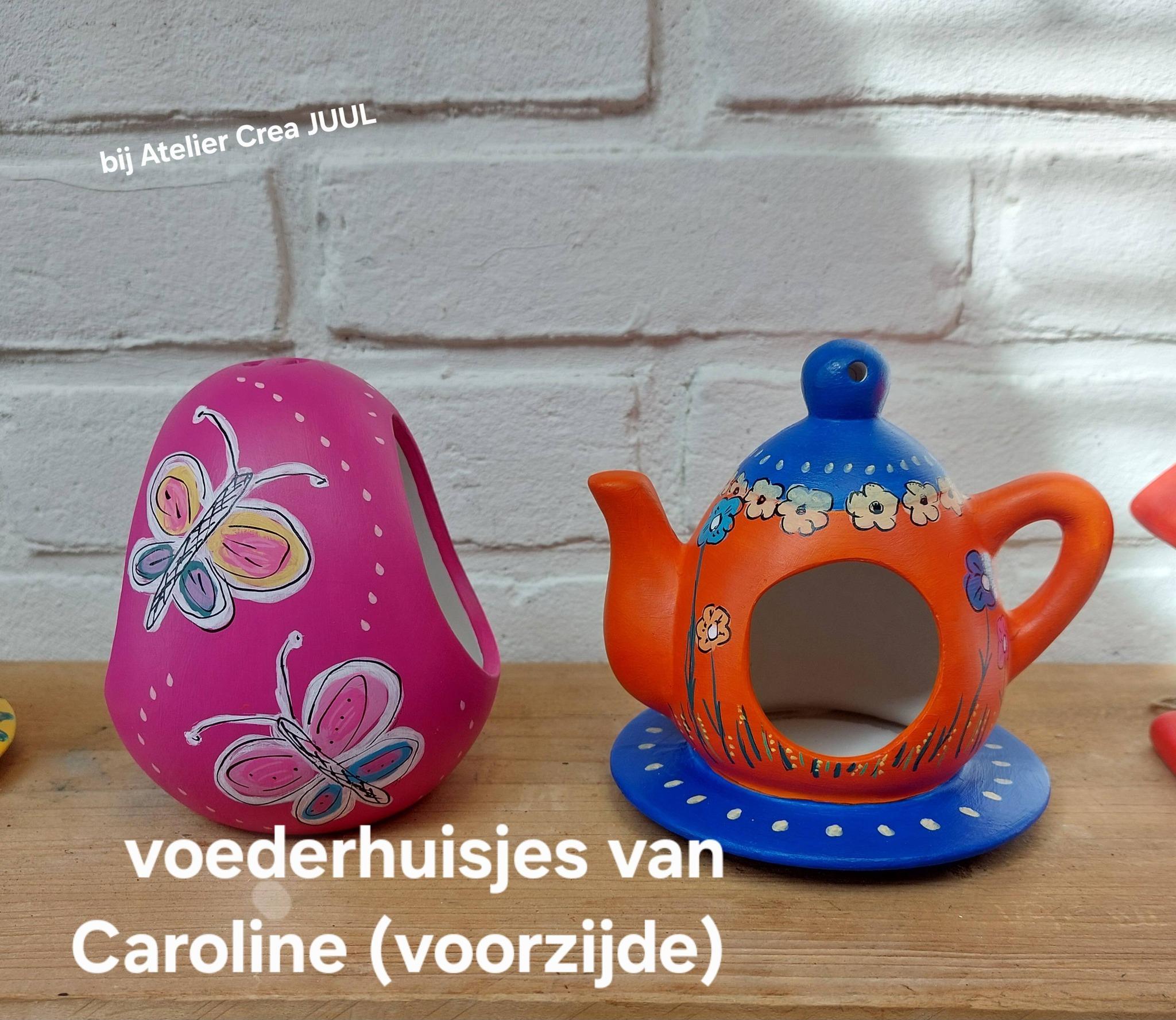 Voederhuisje beschilderen — foto 3