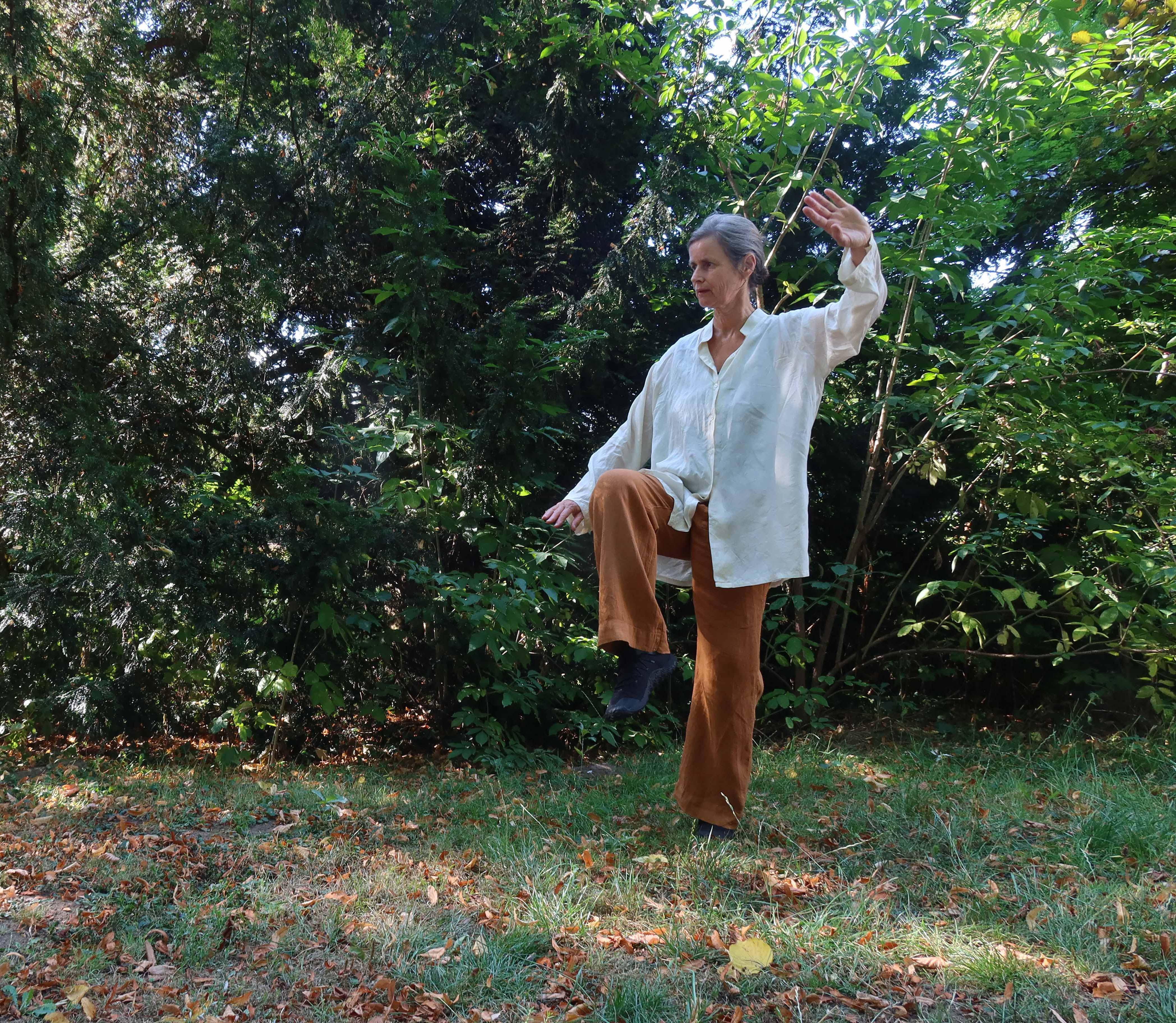cursus Qi Gong en basis Taichi — foto 1
