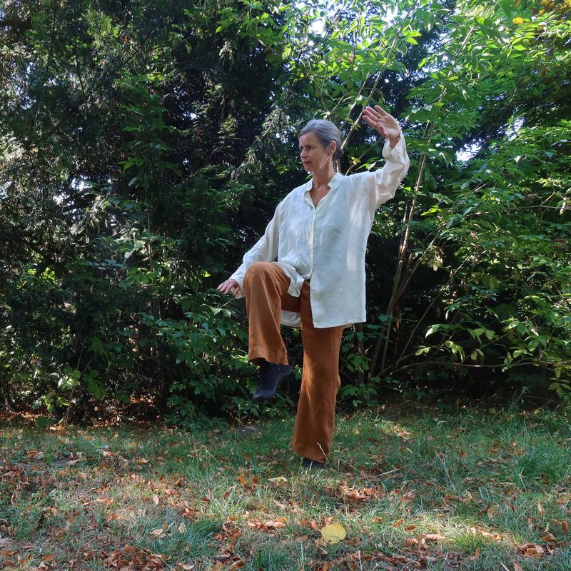 cursus Qi Gong en basis Taichi