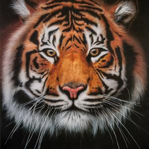 Decoroza airbrush