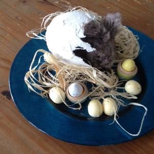 Paasworkshop gips ei maken & decoreren