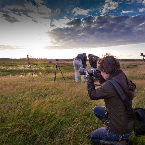 Fotocursus emmen