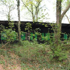 Schilderen en tekenen bij atelier de tuin in baarn