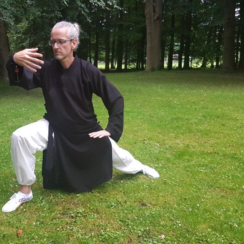 Gratis tai chi workshop apeldoorn — foto 4