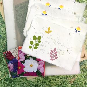 Deze workshop zit vol - happy seeds paper making - groeipapier