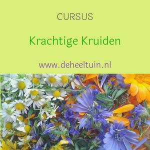 Cursus krachtige kruiden