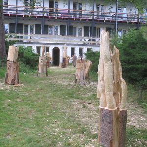 Vakantiecursus beeldhouwen in hout