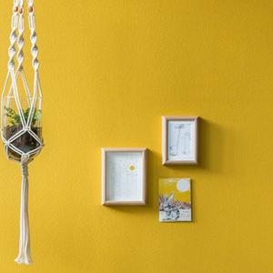 Macrame plantenhanger