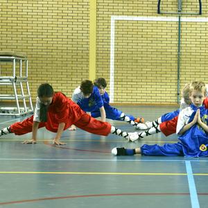 Shaolin 'tigers' jeugd vechtsport apeldoorn